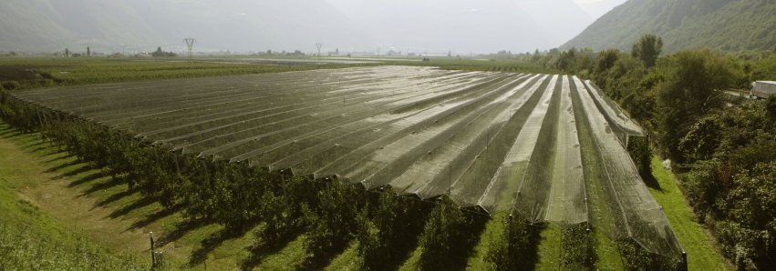 Landwirtschaft