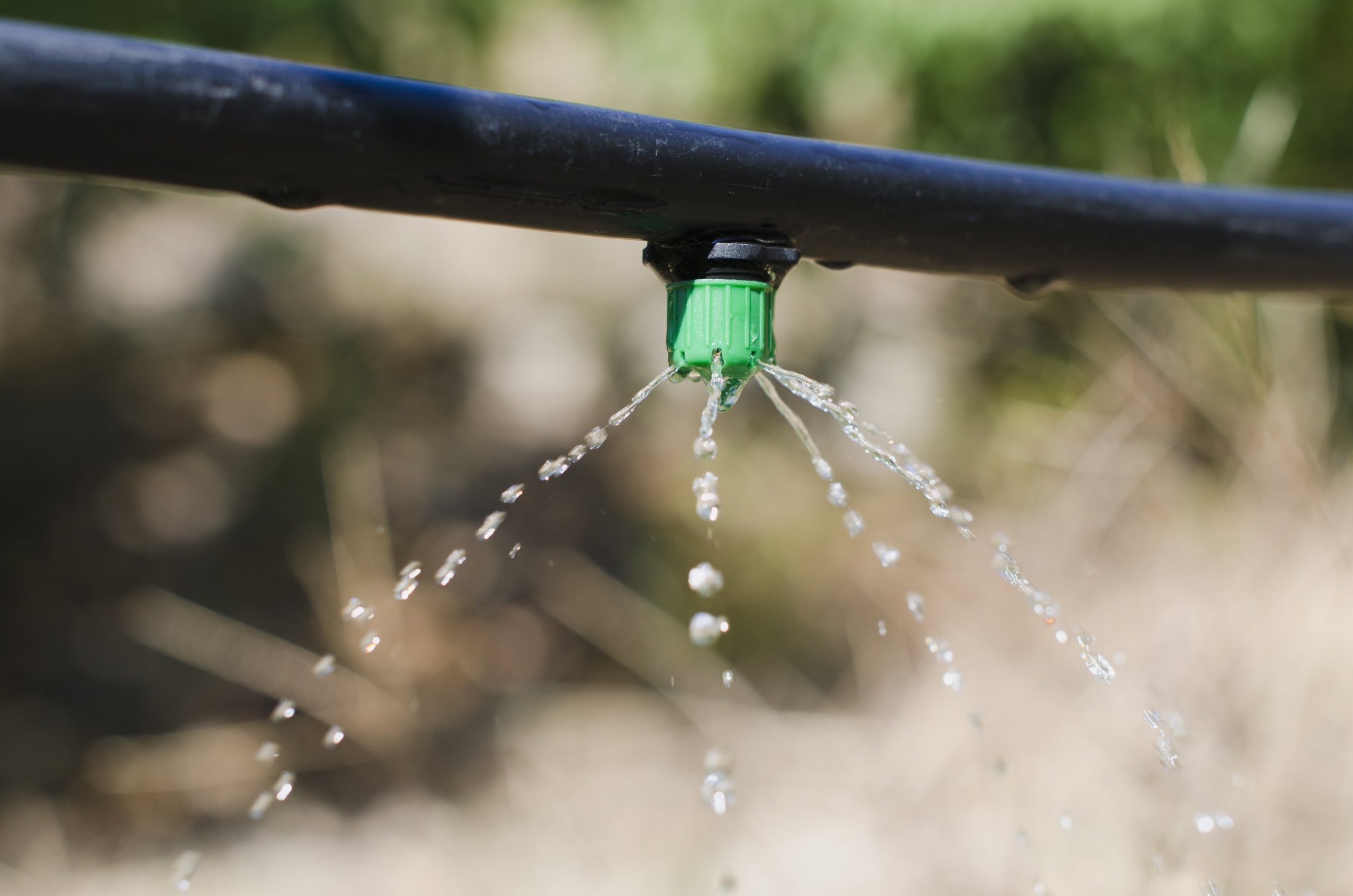 Fertigation